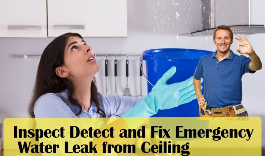 How to Inspect Detect and Fix Emergency Water Leak from Ceiling